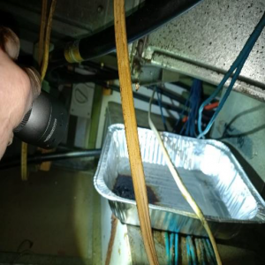 ductwork leaking grease